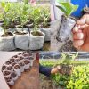 Lookgrow tasakok palántáknak