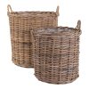 Indo kosarak, kubu rattan, natúr 2db