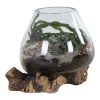 San Marino vízcsepp asztali dekoráció, teak fa/üveg, 20 cm