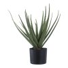 Aloe Vera műnövény, zöld 51 cm