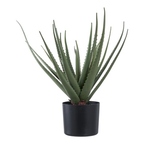 Aloe Vera műnövény, zöld 51 cm