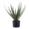 Aloe Vera műnövény, zöld 51 cm