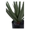 Aloe Vera műnövény, zöld 51 cm