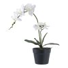 Orchidea műnövény, zöld/fehér 49 cm