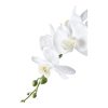 Orchidea műnövény, zöld/fehér 49 cm