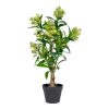 Skimmia fa műnövény, zöld 75 cm