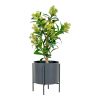 Skimmia fa műnövény, zöld 75 cm