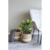 Skimmia fa műnövény, zöld 75 cm