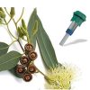 Aromaterápiás illatpatronok - Eucalyptus