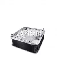 Wellis swim spa