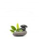 Wellis wellness & spa Wellis wellness & spa
